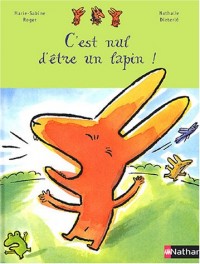 C'est nul d'être un lapin!