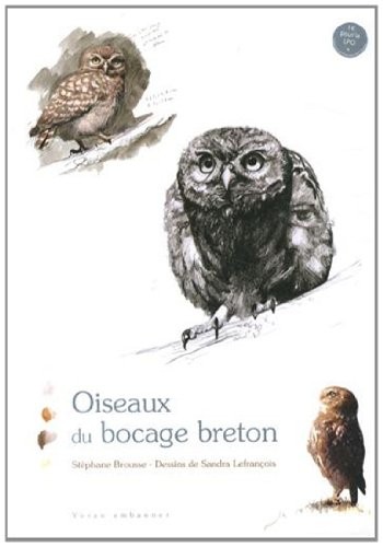 Oiseaux du bocage breton