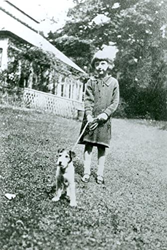 Murder on the Orient Express: The Graphic Novel [9780008516017]