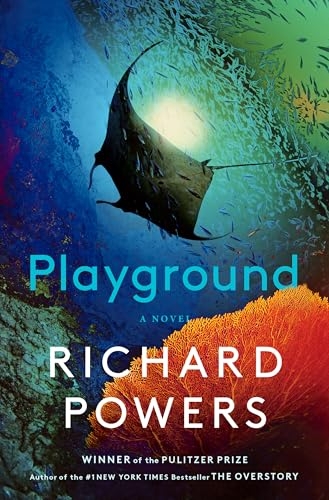 Playground [9781324086031]