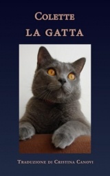 La gatta