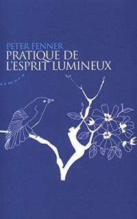 Pratique de l'esprit lumineux (1CD audio MP3)