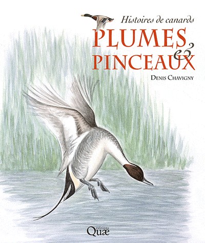Plumes & pinceaux : Histoires de canards