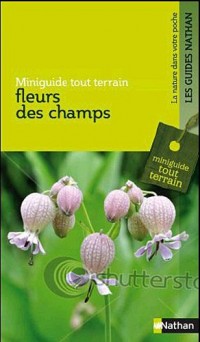 Fleurs des champs