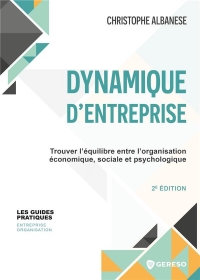 EQUILIBRE ENTRE STRUCTURE ET DYNAMIQUE SOCIALE DE L'ENTREPRISE: METHODE POUR DIAGNOSTIQUER UNE ORGANISATION ET LA DYNAMISER