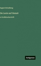 Die Leute auf Hemsö: in Großdruckschrift