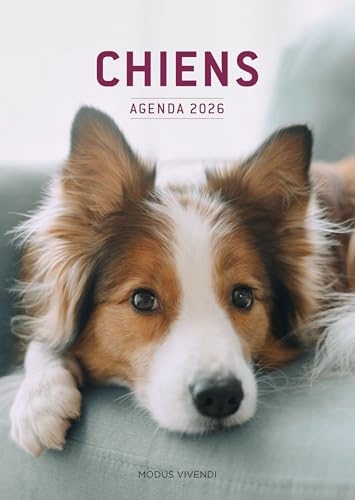 Chiens - Agenda 2026