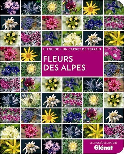 Fleurs des Alpes