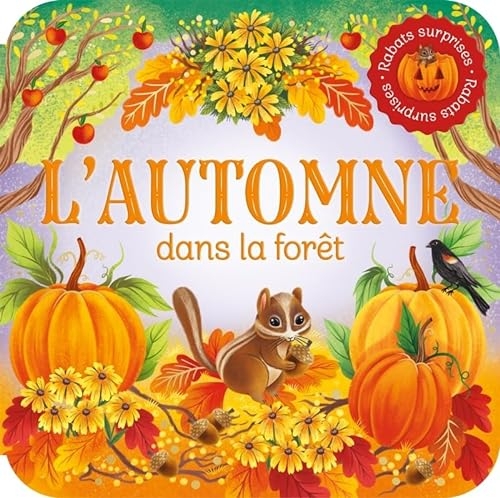 Rabats surprises L'automne dans la forêt