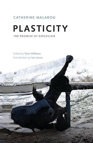 Plasticity: The Promise of Explosion [9781474462129]