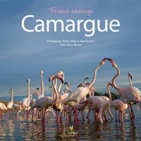 Camargue