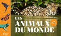 Les animaux du monde de A à Z