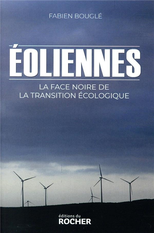 Eoliennes : la face noire de la transition écologique