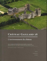 Château Gaillard 28 : l’environnement du château