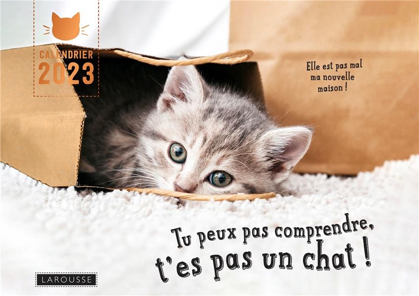 Calendrier Tu peux pas comprendre t'es pas un chat