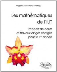 Les Mathématiques de l'IUT Rappels de Cours et Travaux Dirigés Corrigés Première Année