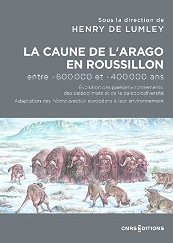 La Caune de l'Arago en Roussillon entre -600 000 et -400 000 ans - Les Homo Erectus européens dans l
