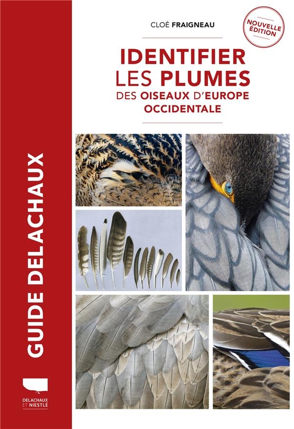 Identifier les plumes des oiseaux d Europe occidentale