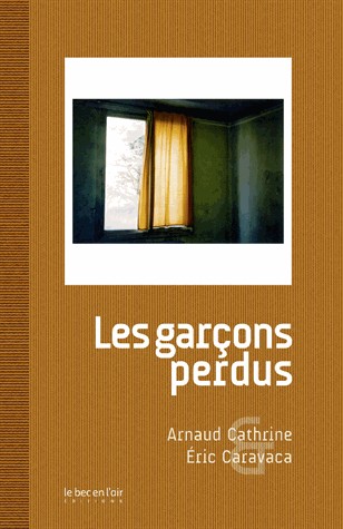 Les garçons perdus