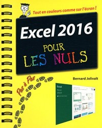 Excel 2016 pour les Nuls Pas à Pas