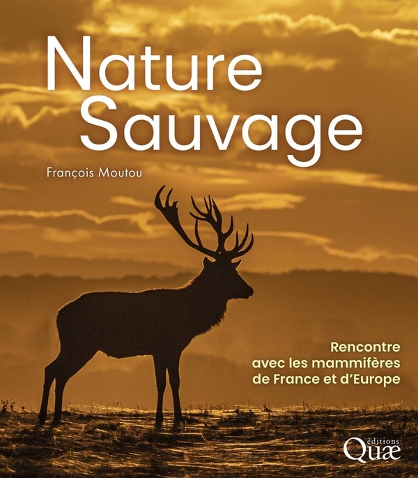Nature sauvage: Rencontre avec les mammifères de France et d'Europe