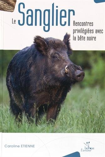 Le sanglier : Rencontres privilégiées avec le bête noire