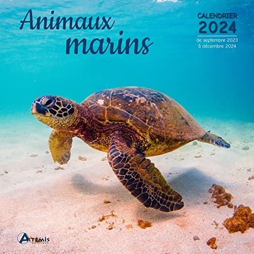 Calendriers Animaux marins 2024