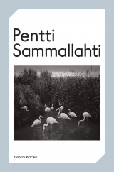 Pentti Sammallahti