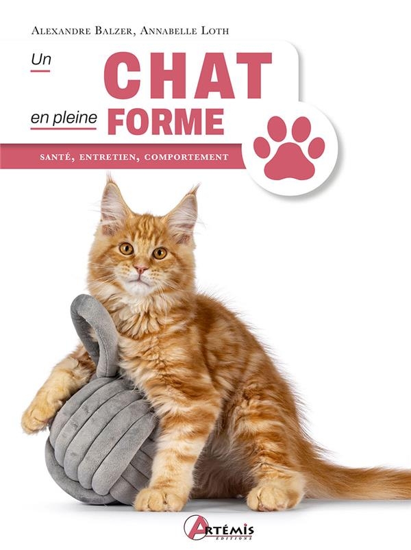 Un chat en pleine forme: santé, entretien, comportement