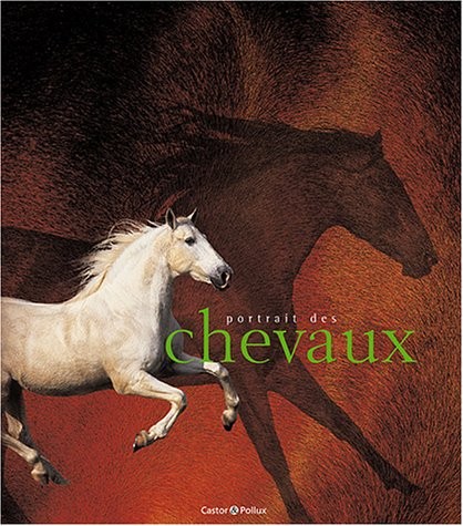 Portrait des chevaux