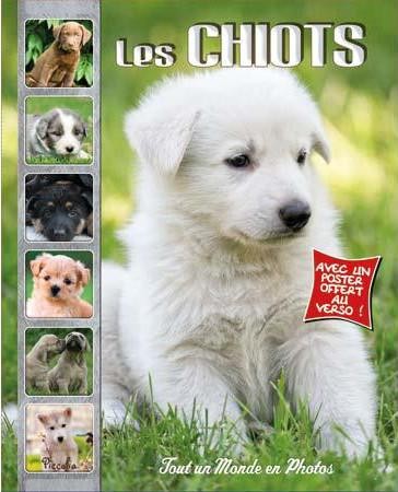 Les chiots