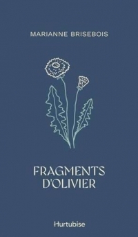 Fragments d'olivier