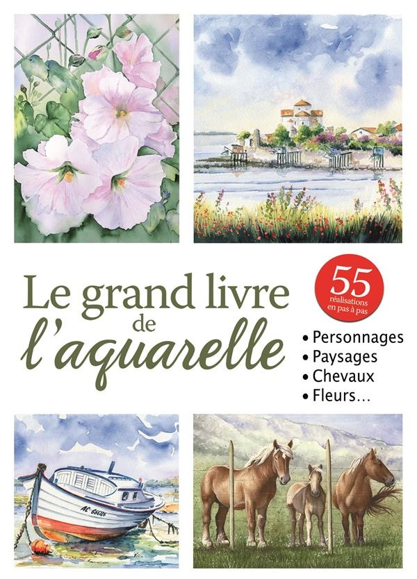 Grand Livre de l'Aquarelle (le)