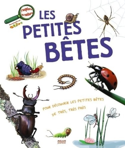 Petites bêtes (les)