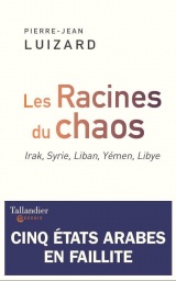 Les racines du chaos : cinq états arabes en faillite: Irak, syrie, liban, yemen, libye