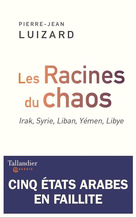 Les racines du chaos : cinq états arabes en faillite: Irak, syrie, liban, yemen, libye