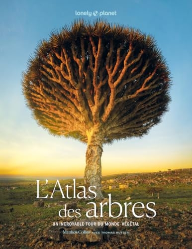 Lonely Planet - L'Atlas des arbres: Un incroyable tour du monde végétal
