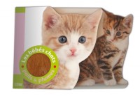 Polis & Plumes : les Bebes Chats