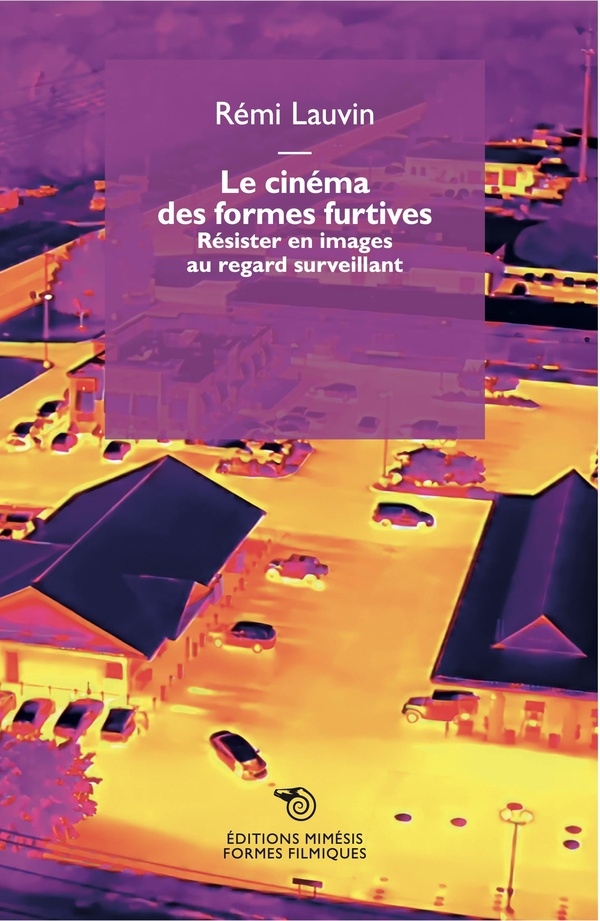 Le cinéma des formes furtives