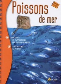 POISSONS DE MER