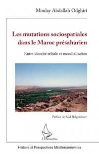 Les mutations sociospatiales dans le Maroc présaharien: Entre identité tribale et mondialisation