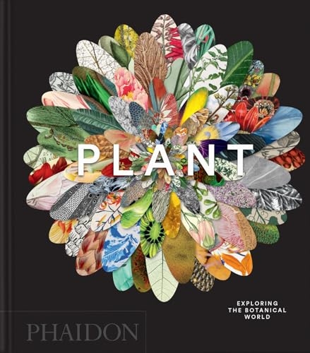 Plant: Exploring the Botanical World