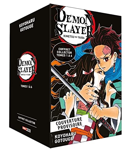 Coffret Demon Slayer T01 à T06