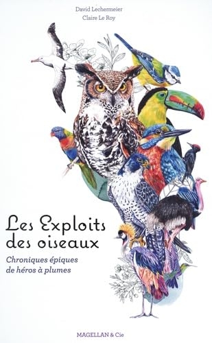 Les exploits des oiseaux