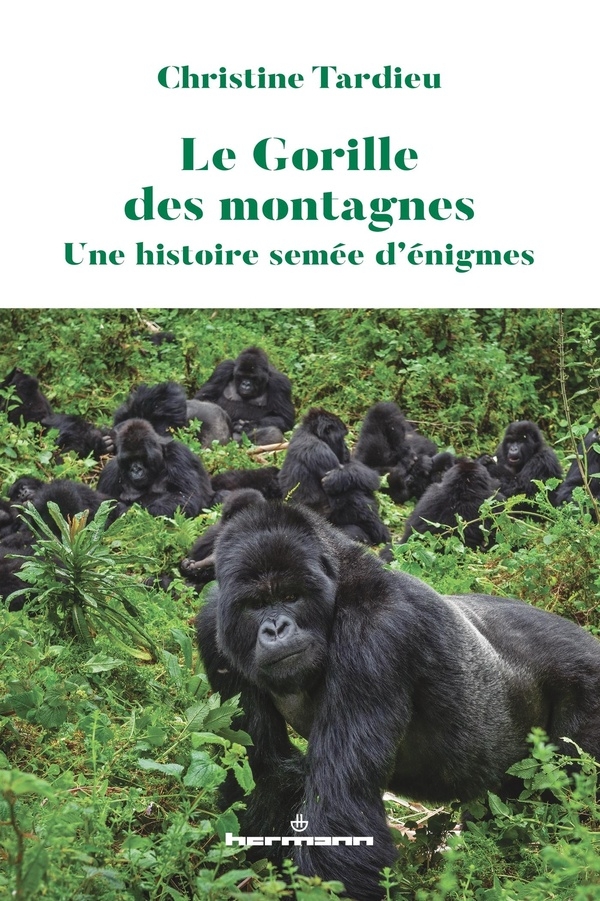 Le Gorille des montagnes: Une histoire semée d'énigmes