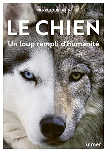 Le Chien, un loup rempli d'humanité