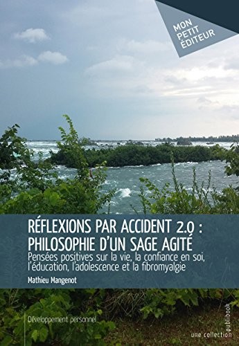 Réflexions par accident 2.0 : philosophie d'un sage agité