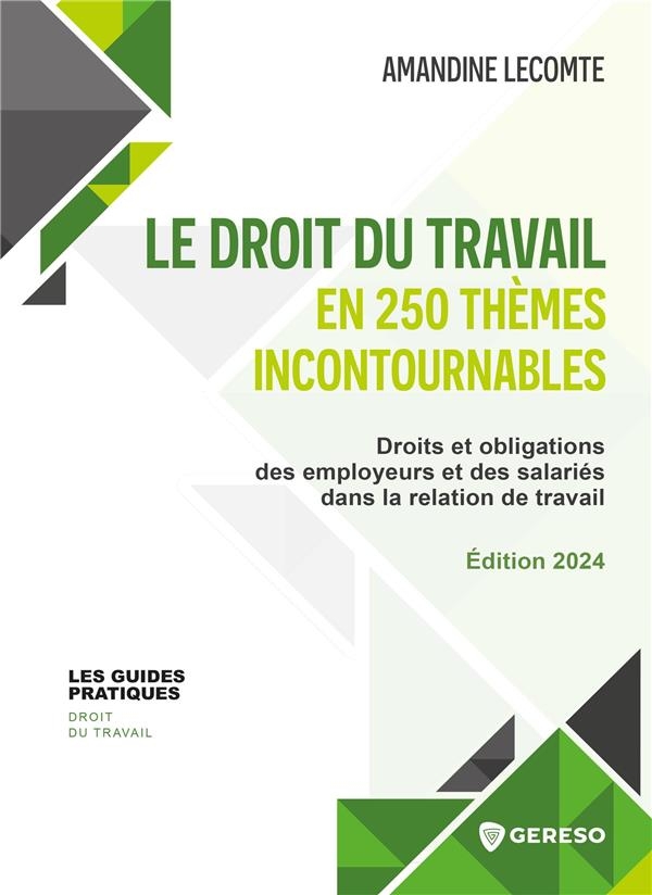 Le droit du travail en 250 thèmes incontournables: Droits et obligations des employeurs et des salariés dans la relation de travail