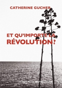 Et qu'importe la révolution ? (LITTERATURES)