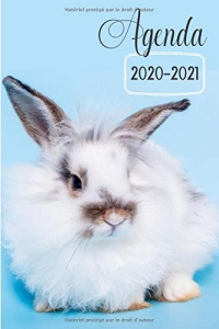 Agenda 2020-2021: Agenda Scolaire 2020-2021 – Organisateur Journalier – Idéal pour étudiant (école primaire, collège, lycée) | Animaux cute - Lapin Blanc & bleu